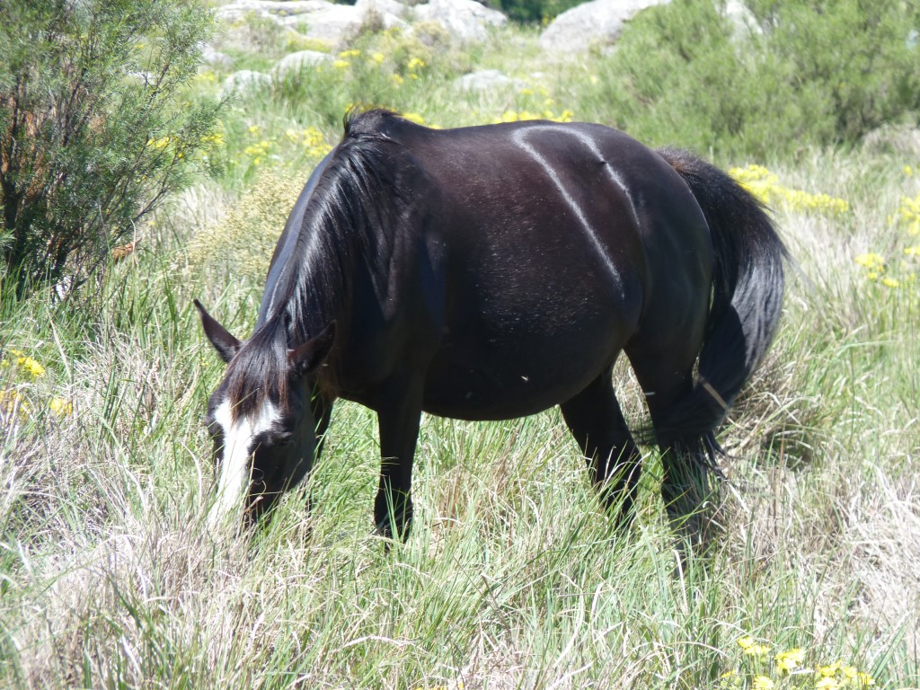 Foto: Sierra del Tigre - Tandil (Buenos Aires), Argentina