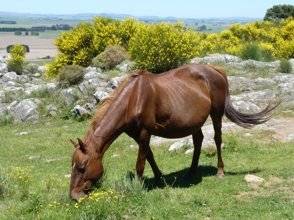 Foto: Sierra del Tigre - Tandil (Buenos Aires), Argentina