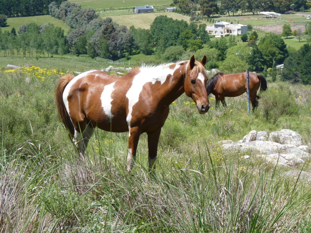 Foto: Sierra del Tigre - Tandil (Buenos Aires), Argentina