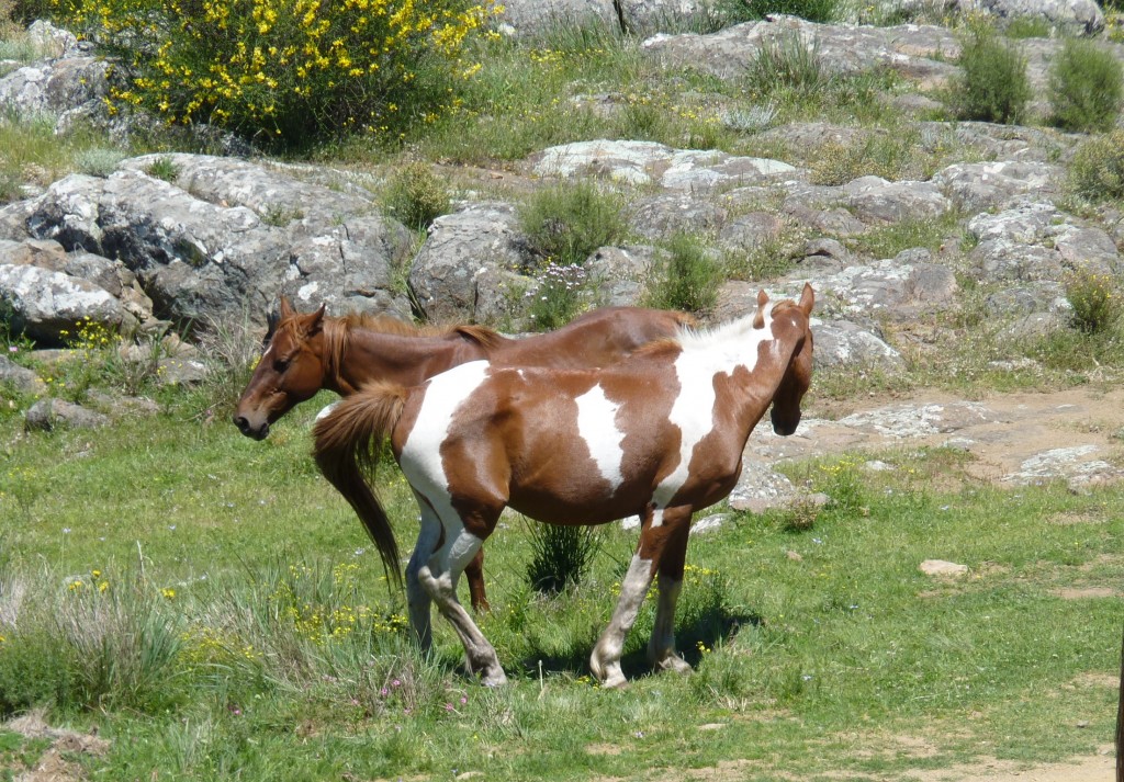 Foto: Sierra del Tigre - Tandil (Buenos Aires), Argentina