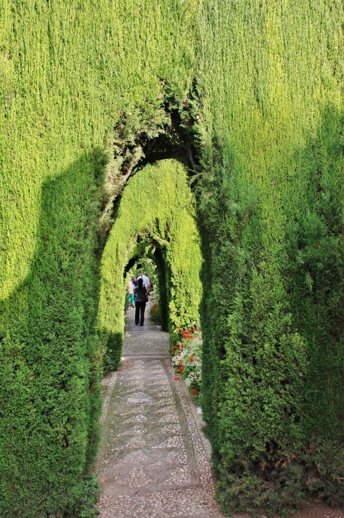 Foto: Jardines bajos del Generalife - Granada (Andalucía), España