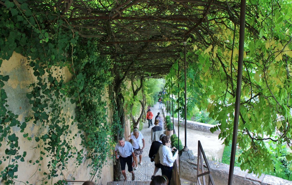 Foto: Generalife - Granada (Andalucía), España