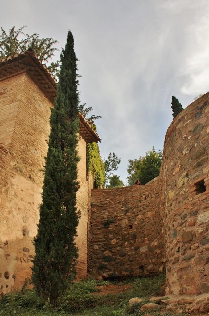 Foto: Generalife - Granada (Andalucía), España