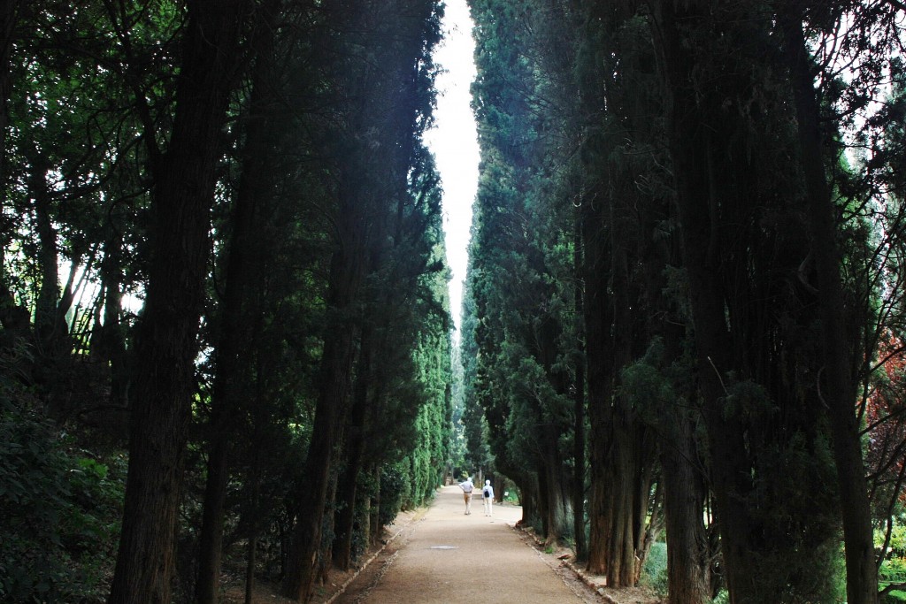 Foto: Generalife - Granada (Andalucía), España