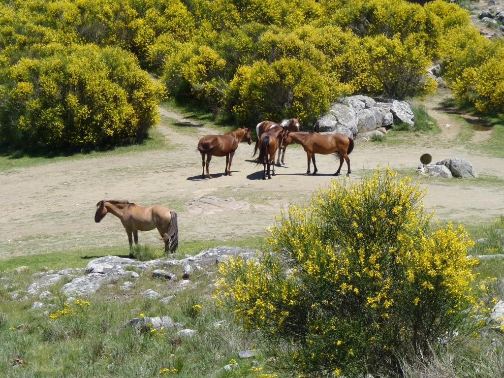 Foto: Sierra del Tigre. - Tandil (Buenos Aires), Argentina