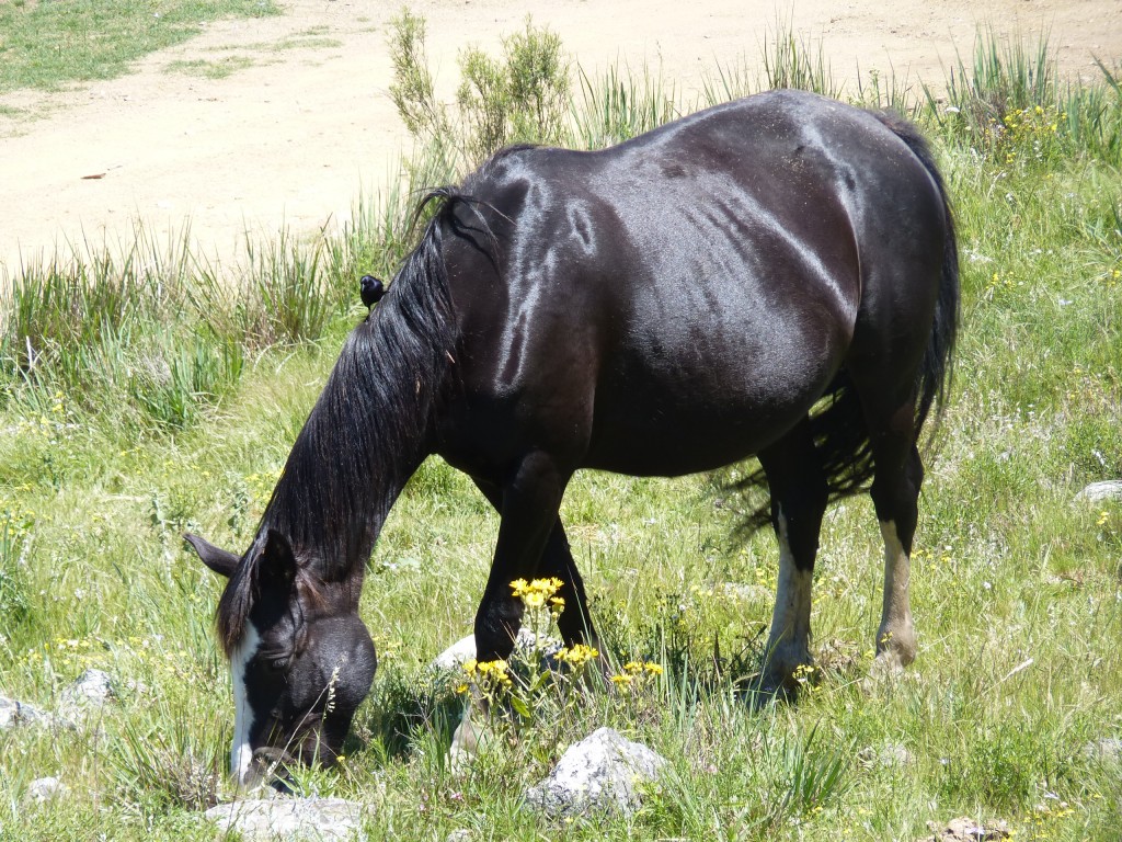 Foto: Sierra del Tigre. - Tandil (Buenos Aires), Argentina