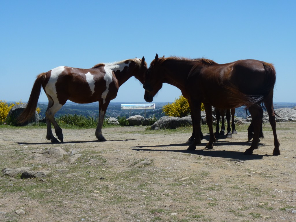 Foto: Sierra del Tigre. - Tandil (Buenos Aires), Argentina