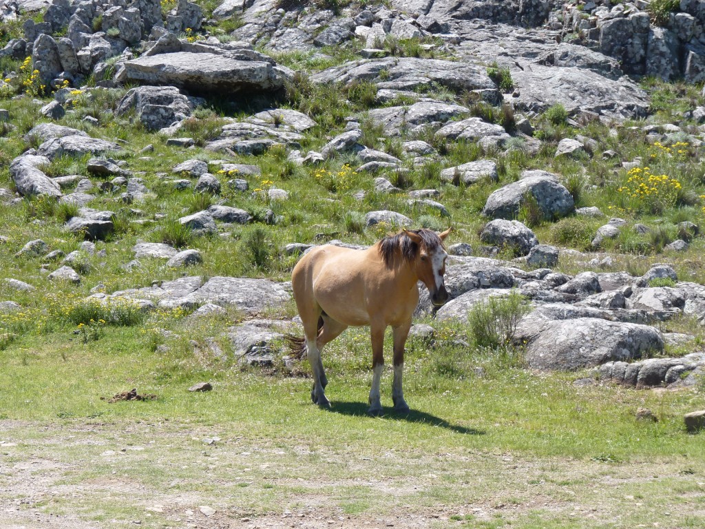 Foto: Sierra del Tigre. - Tandil (Buenos Aires), Argentina