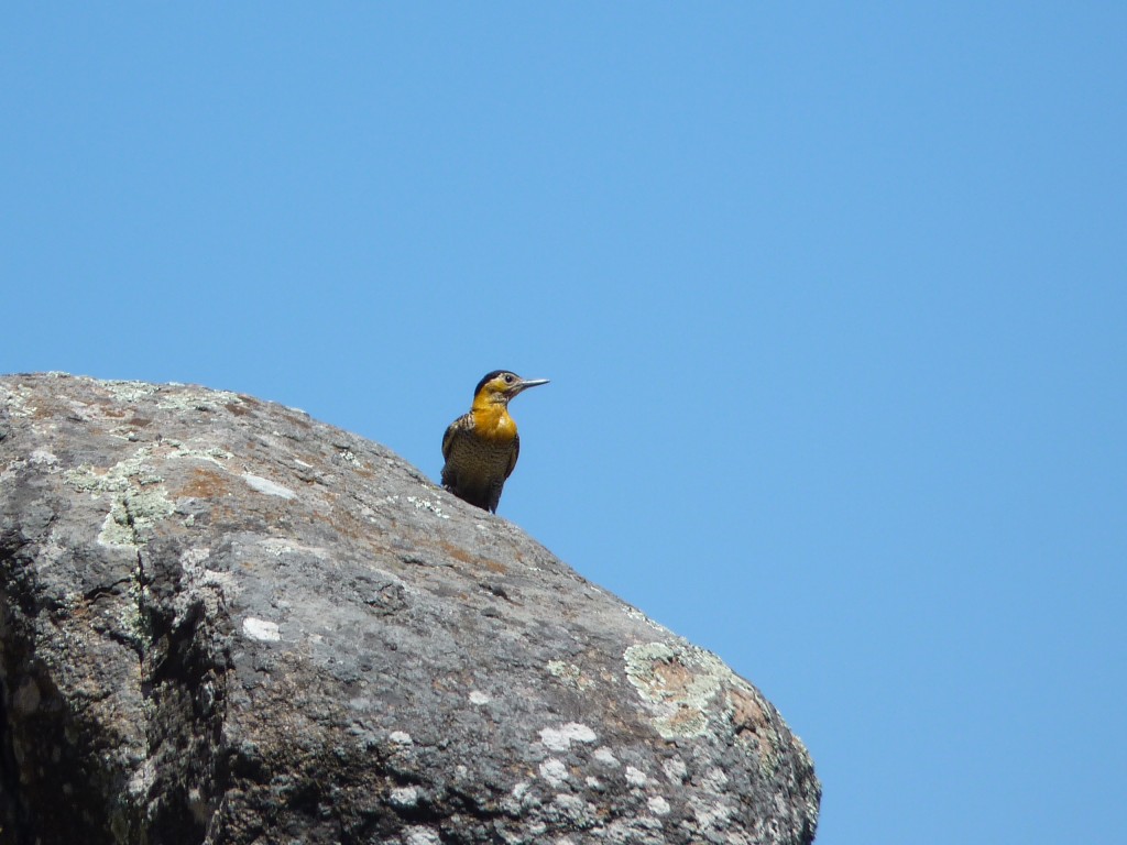 Foto: Sierra del Tigre. - Tandil (Buenos Aires), Argentina