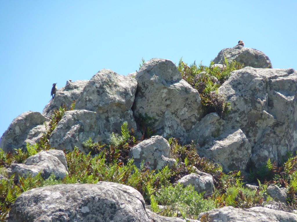 Foto: Sierra del Tigre. - Tandil (Buenos Aires), Argentina