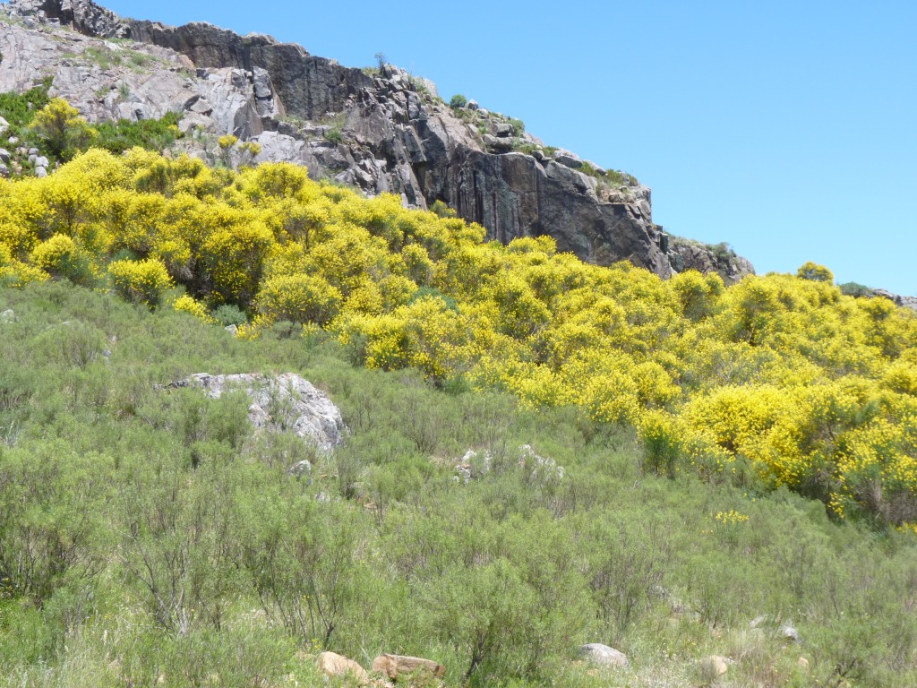 Foto: Sierra del Tigre. - Tandil (Buenos Aires), Argentina