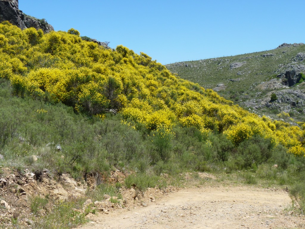 Foto: Sierra del Tigre. - Tandil (Buenos Aires), Argentina