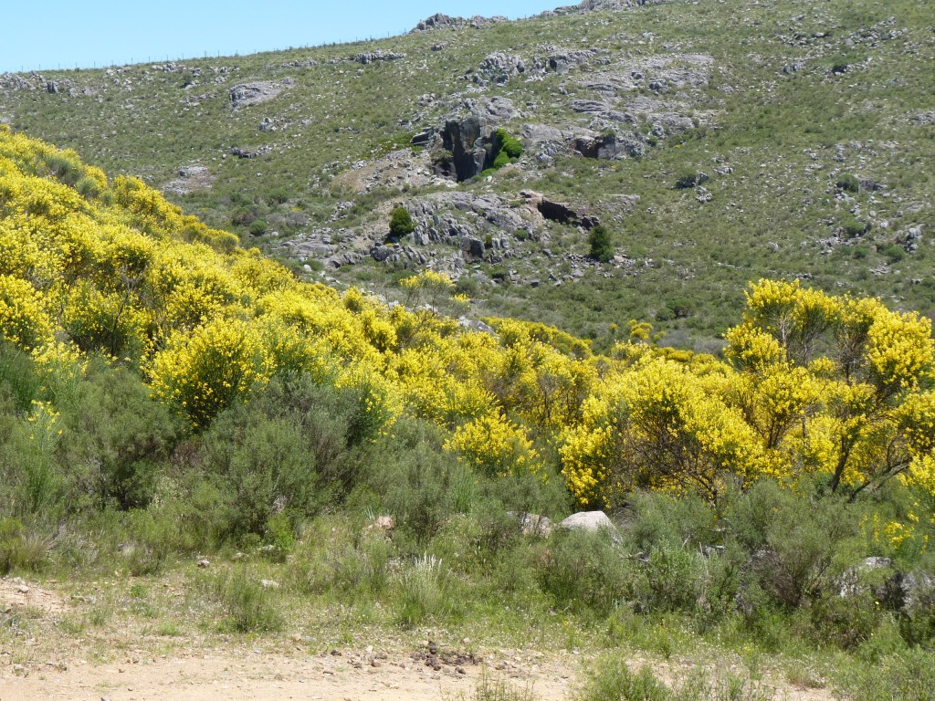 Foto: Sierra del Tigre. - Tandil (Buenos Aires), Argentina