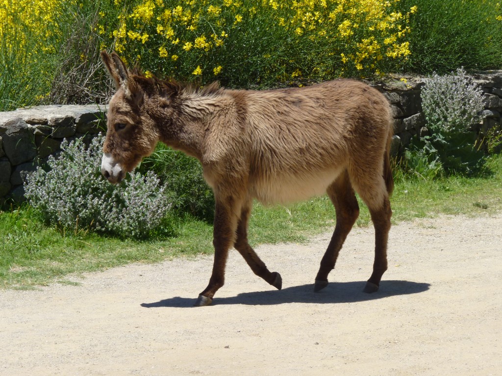 Foto: Sierra del Tigre. - Tandil (Buenos Aires), Argentina