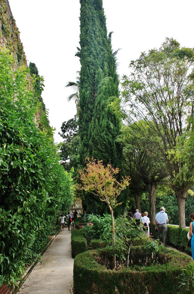 Foto: La Alhambra - Granada (Andalucía), España