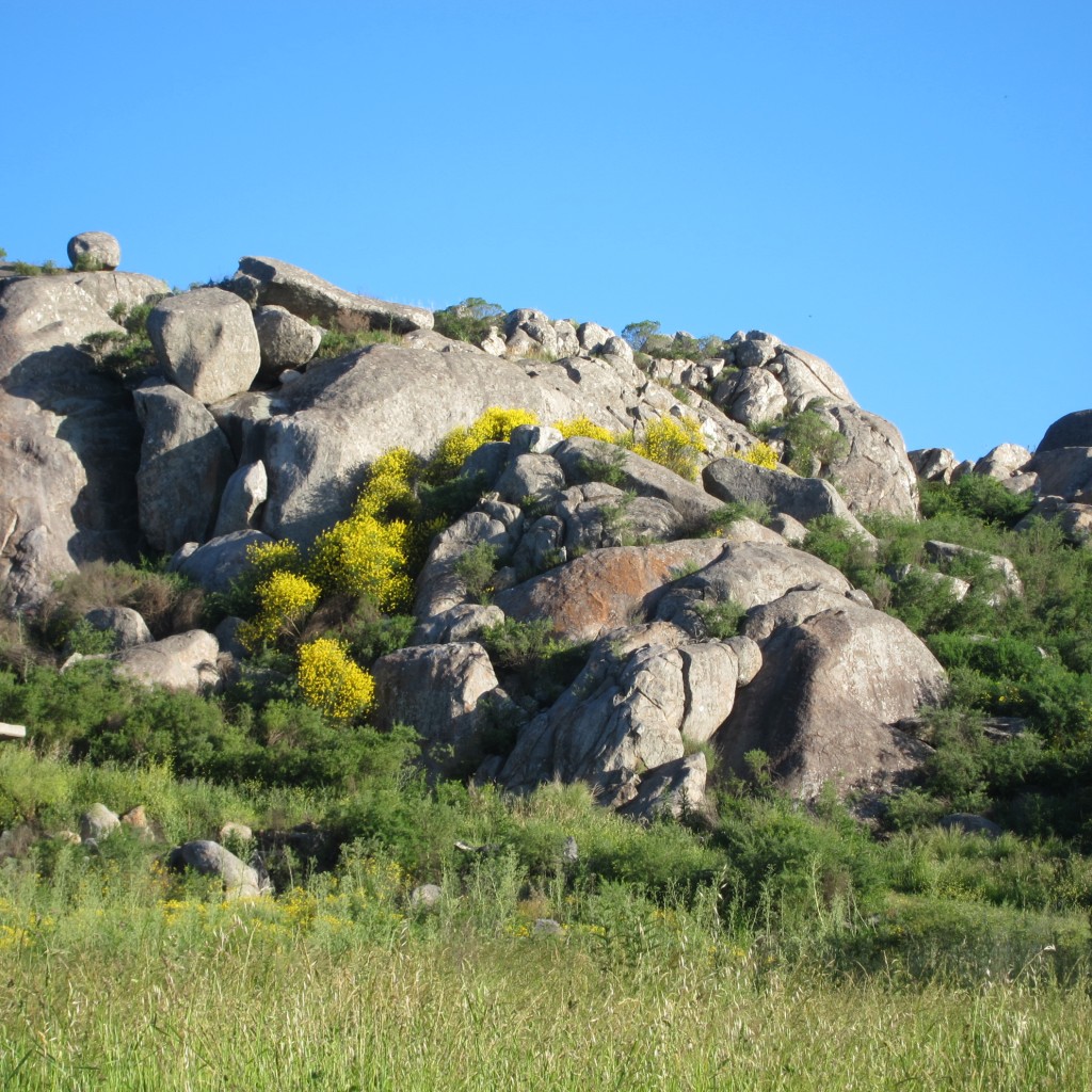 Foto: Sierra del Tigre - Tandil (Buenos Aires), Argentina