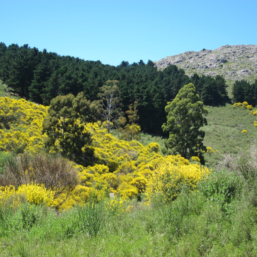 Foto: Sierra del Tigre - Tandil (Buenos Aires), Argentina