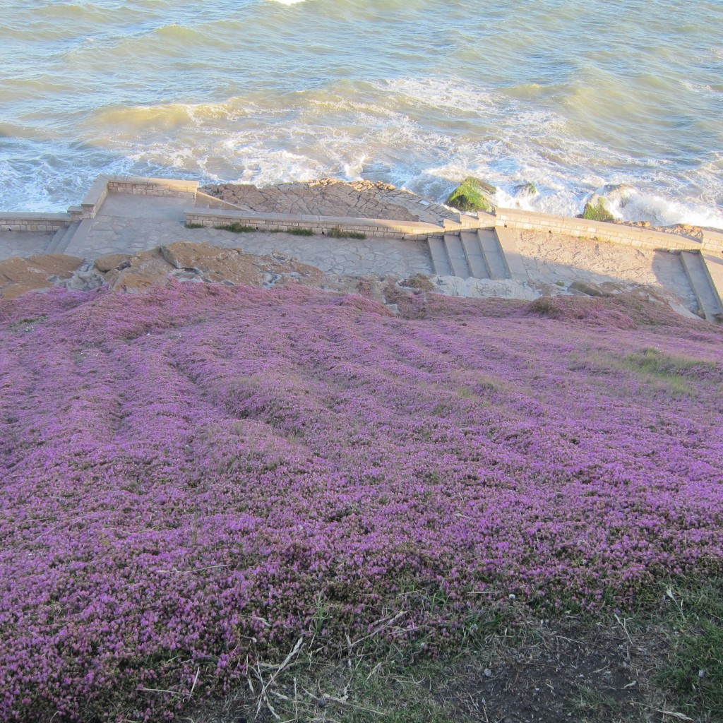 Foto de Mar del Plata (Buenos Aires), Argentina