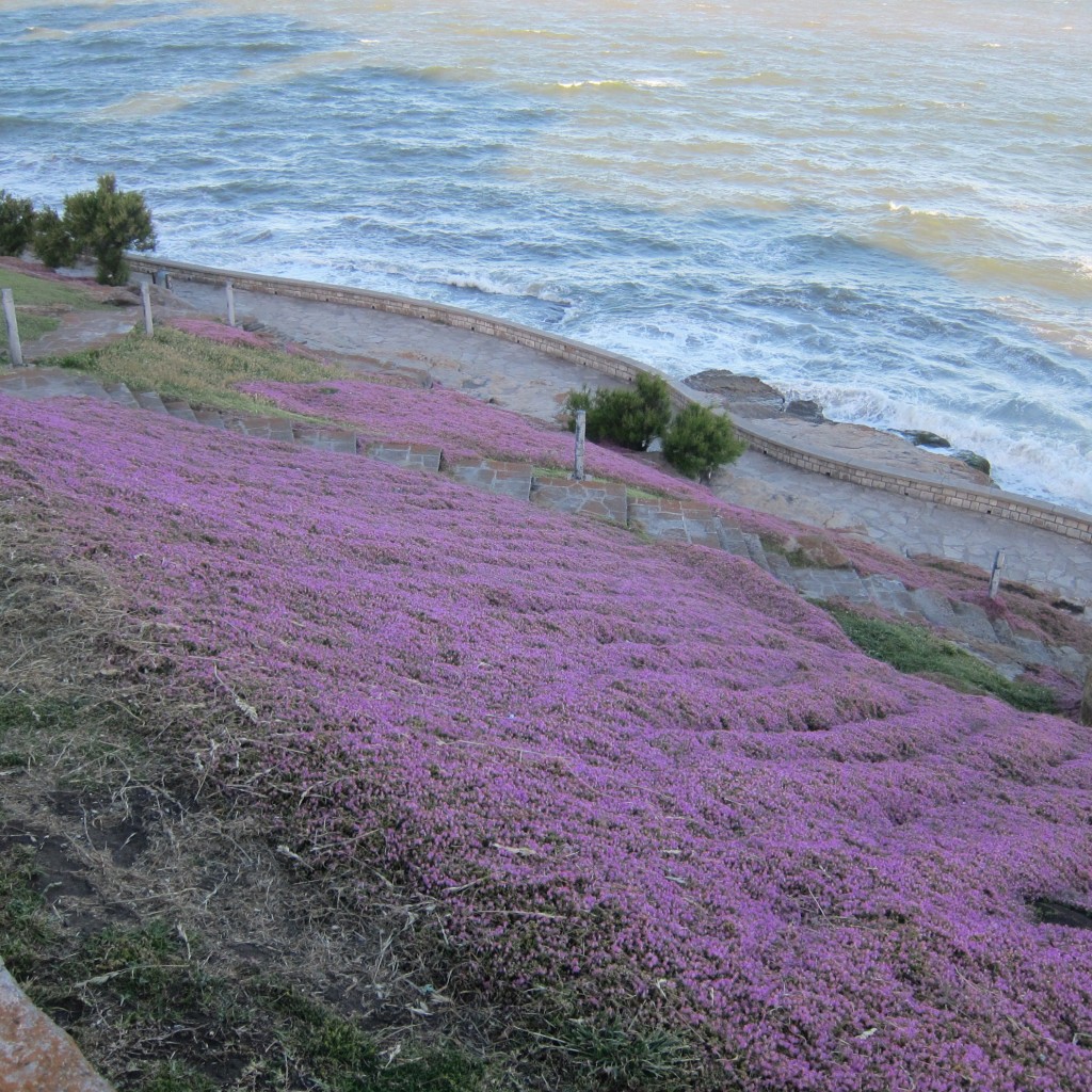 Foto de Mar del Plata (Buenos Aires), Argentina