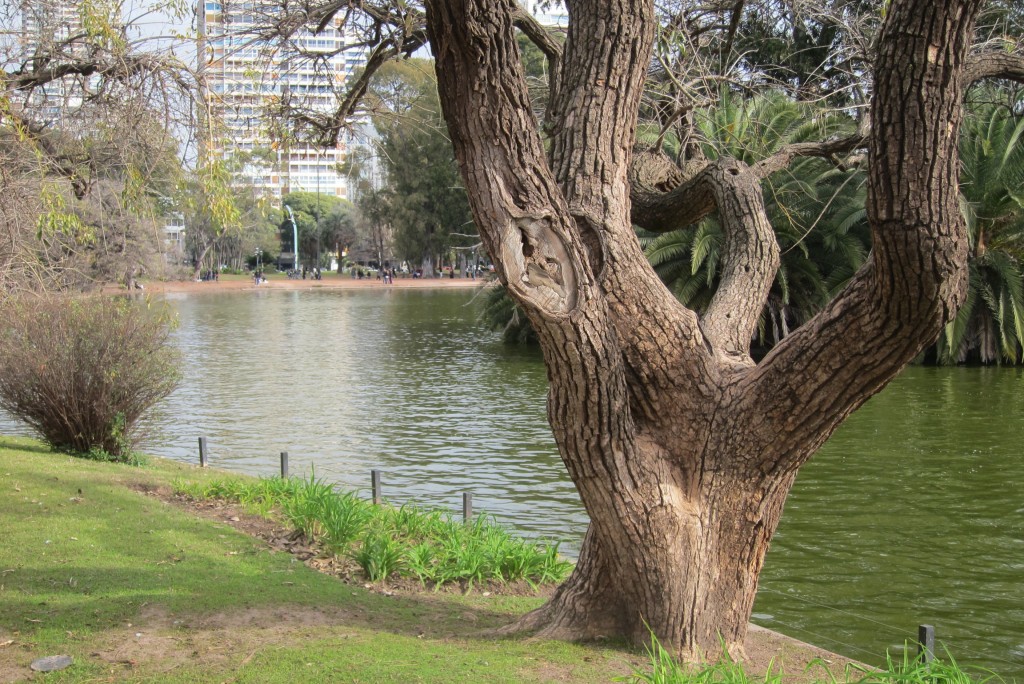 Foto: Parque Tres de Febrero - Ciudad Autónoma de Buenos Aires (Buenos Aires), Argentina