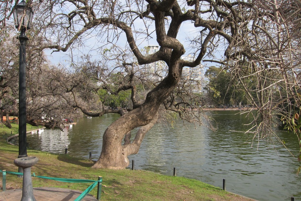 Foto: Parque Tres de Febrero - Ciudad Autónoma de Buenos Aires (Buenos Aires), Argentina