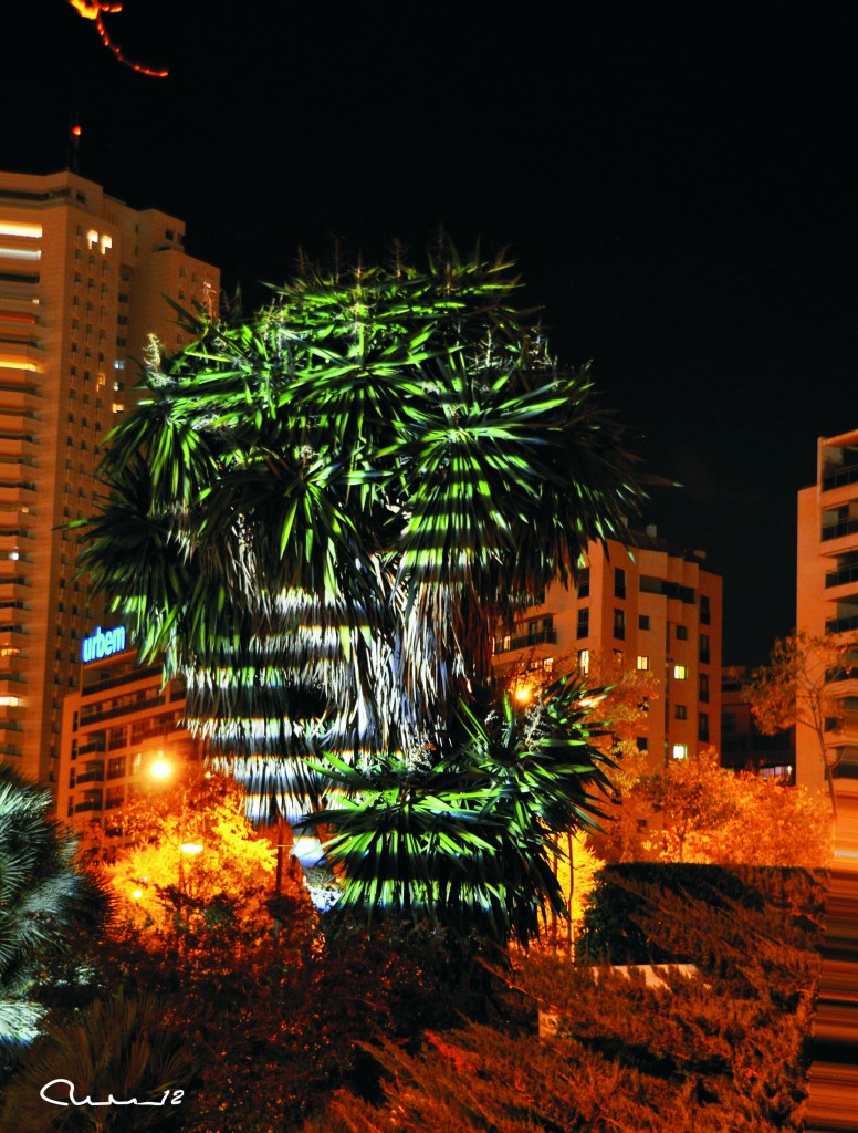 Foto: Jardines del Turia - Valencia (València), España