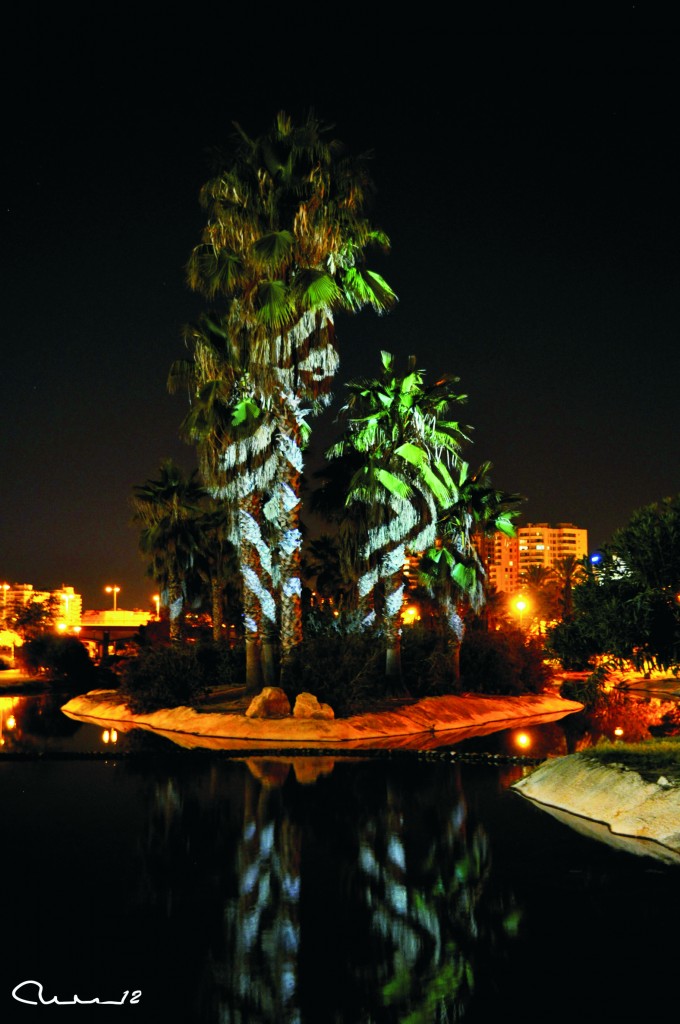 Foto: Jardines del Turia - Valencia (València), España