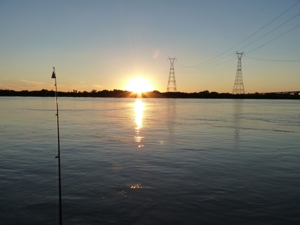 Foto: Camping La Torre - Paraná Guazú (Entre Ríos), Argentina