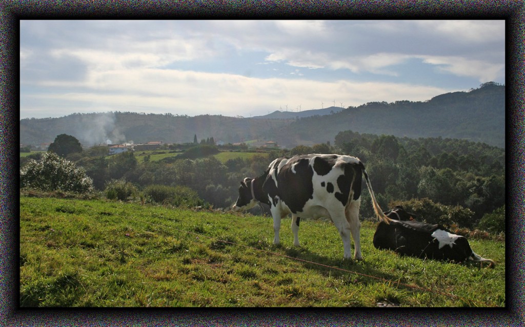 Foto de Novellana (Asturias), España