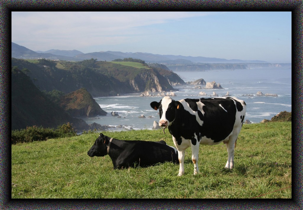 Foto de Novellana (Asturias), España