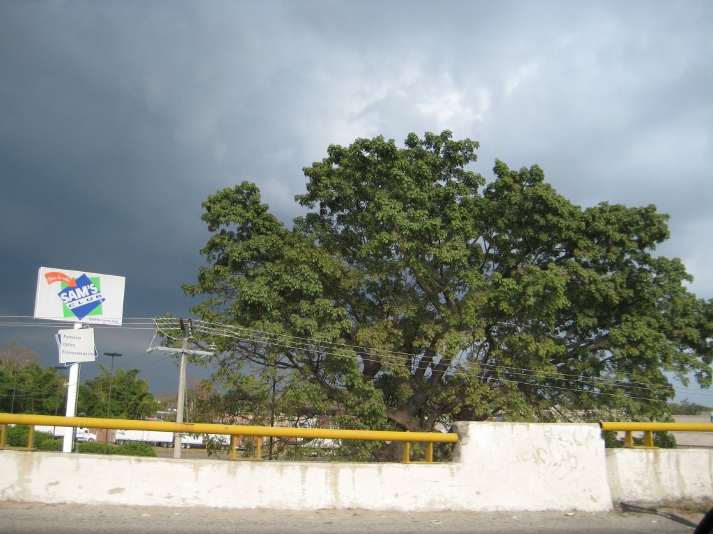 Foto de Tapachula (Chiapas), México