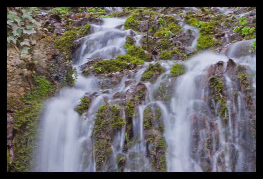 Foto de Monasterio de Piedra (Zaragoza), España