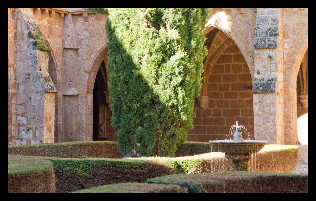 Foto de Monasterio de Piedra (Zaragoza), España