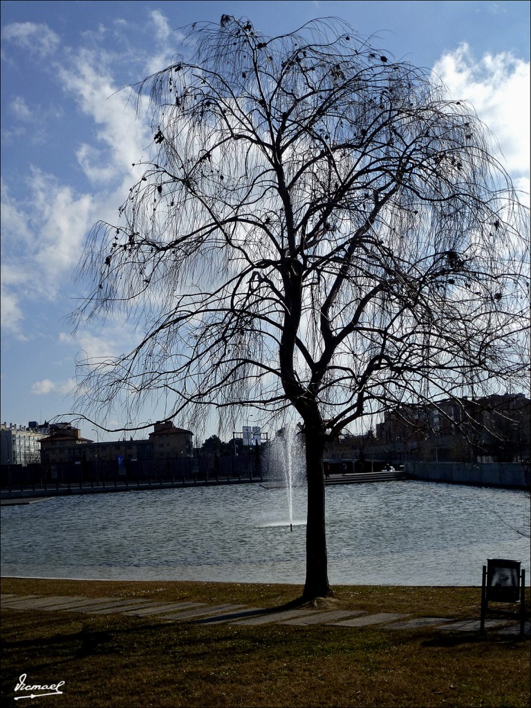 Foto: 120219-03 PARQUE DE LOS TAPICES DE GOYA - Zaragoza (Aragón), España