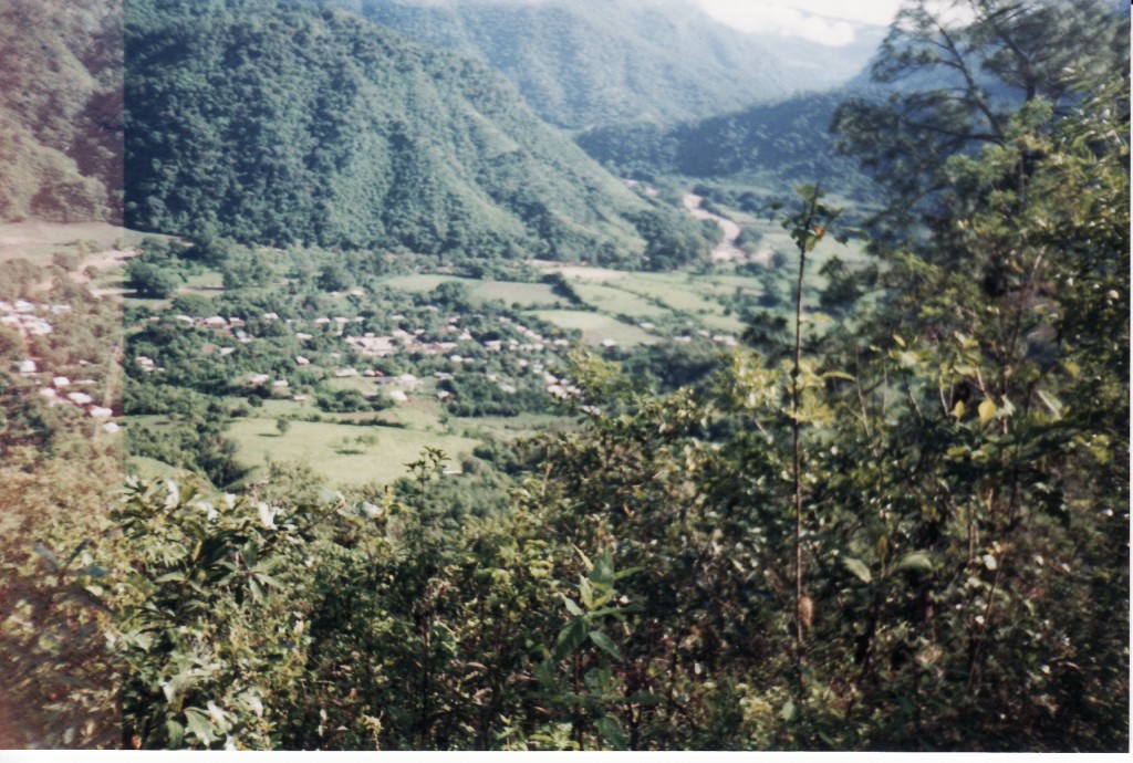 Foto: PANORAMICA DE LAS DELICIAS - Las Delicias (Chiapas), México