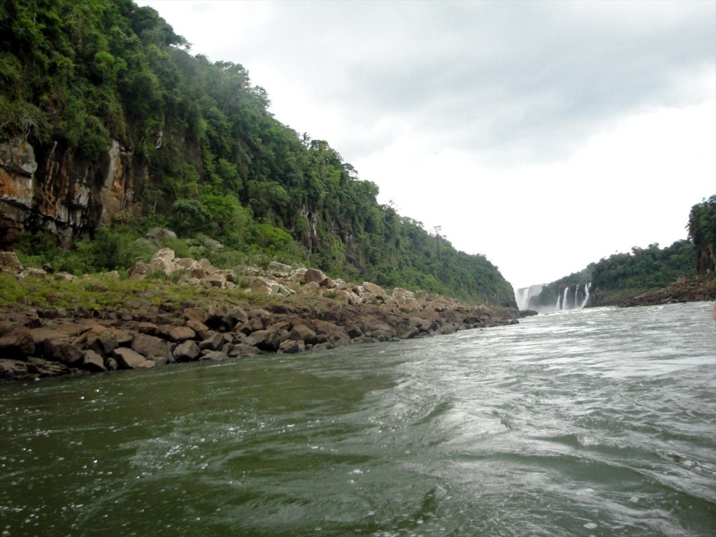 Foto: Safari Macuco - Puerto Iguazú (Misiones), Argentina