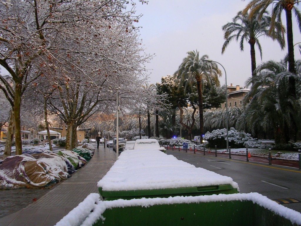 Foto: PASEO MARITIMO - Palma De Mallorca (Illes Balears), España