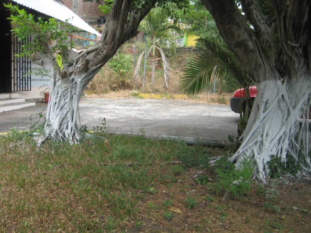 Foto de Tapachula (Chiapas), México