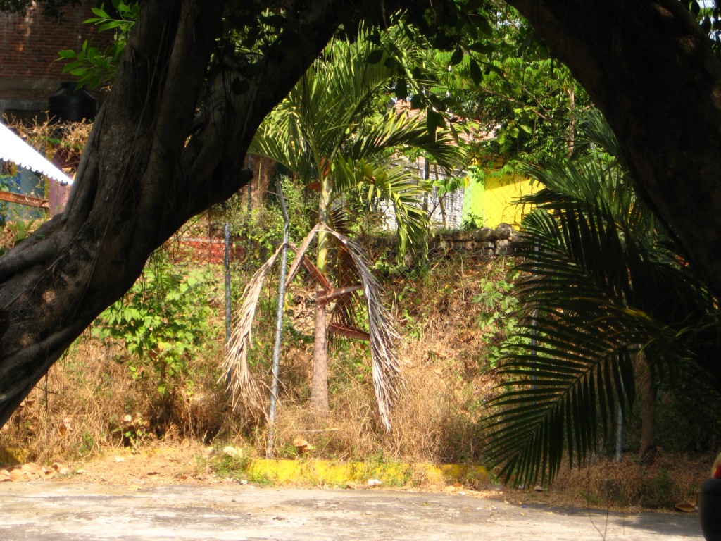 Foto de Tapachula (Chiapas), México