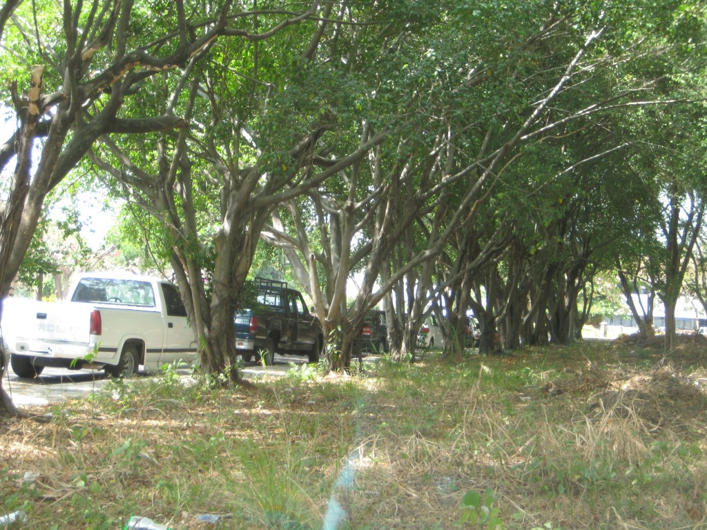 Foto de Tapachula (Chiapas), México