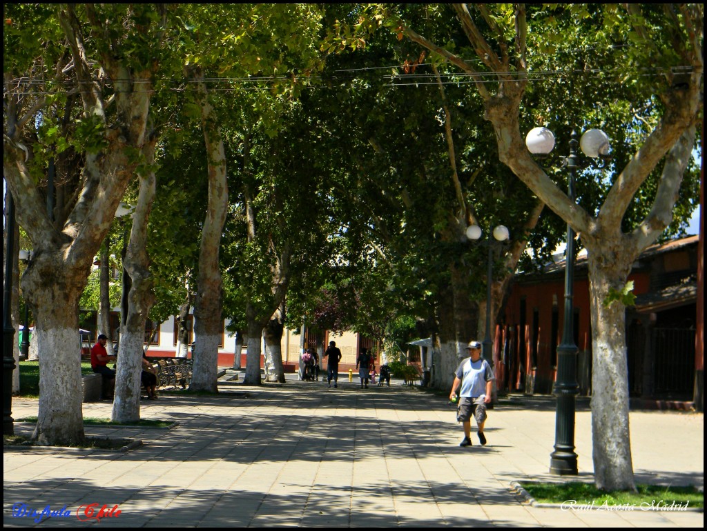 Foto de El Monte (Región Metropolitana), Chile