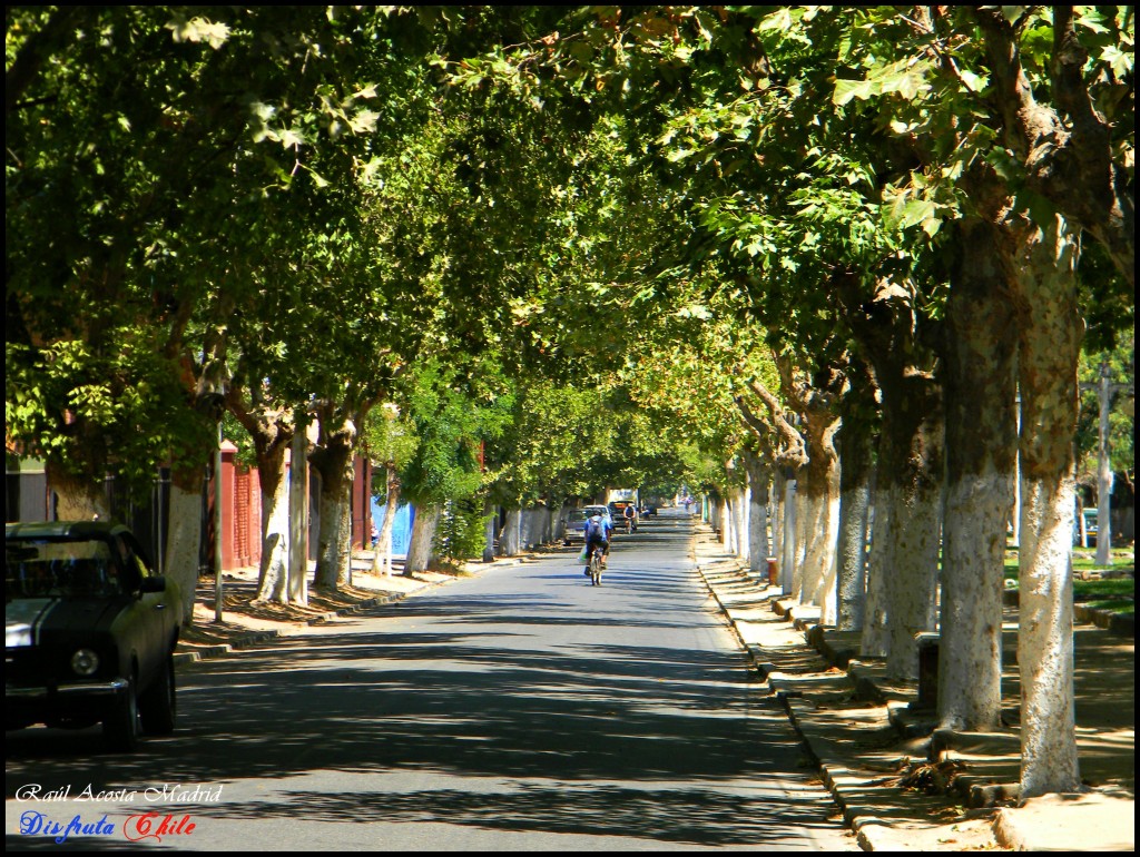 Foto de El Monte (Región Metropolitana), Chile