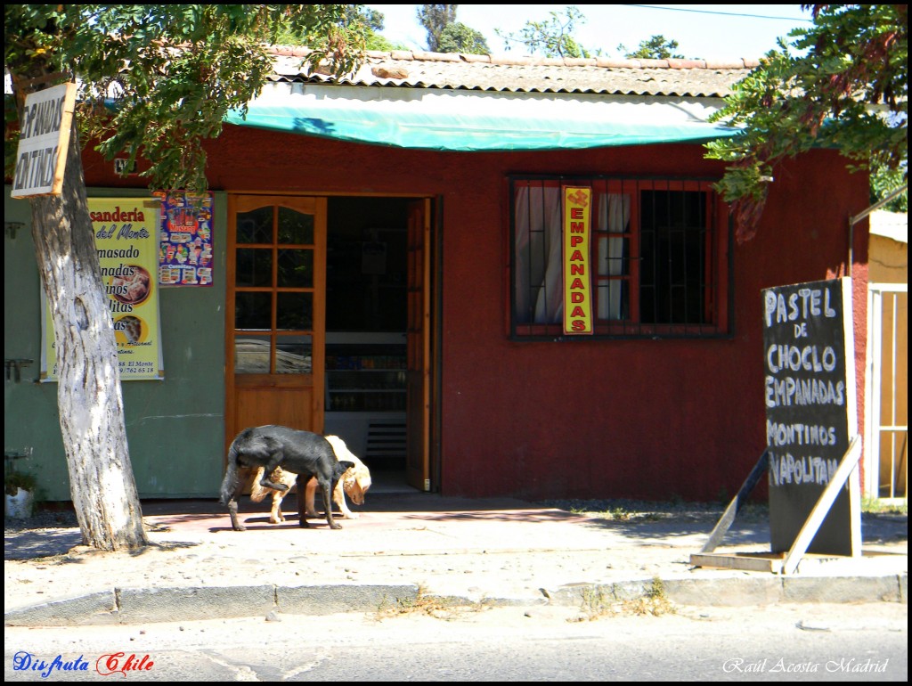 Foto de El Monte (Región Metropolitana), Chile