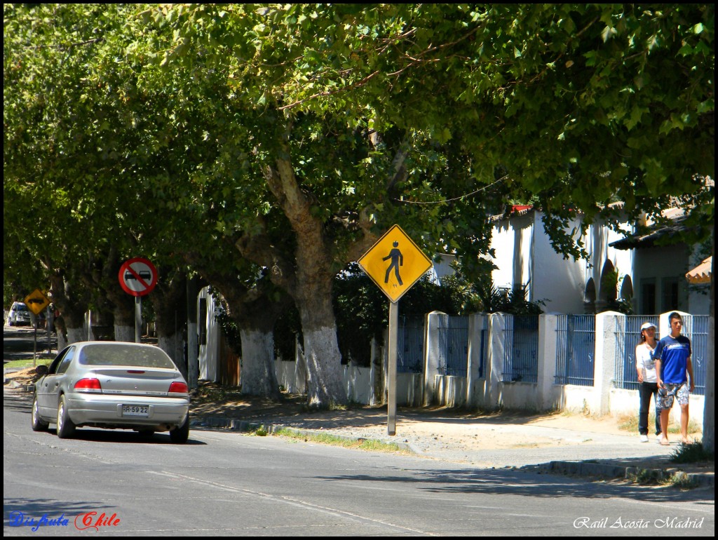 Foto de El Monte (Región Metropolitana), Chile