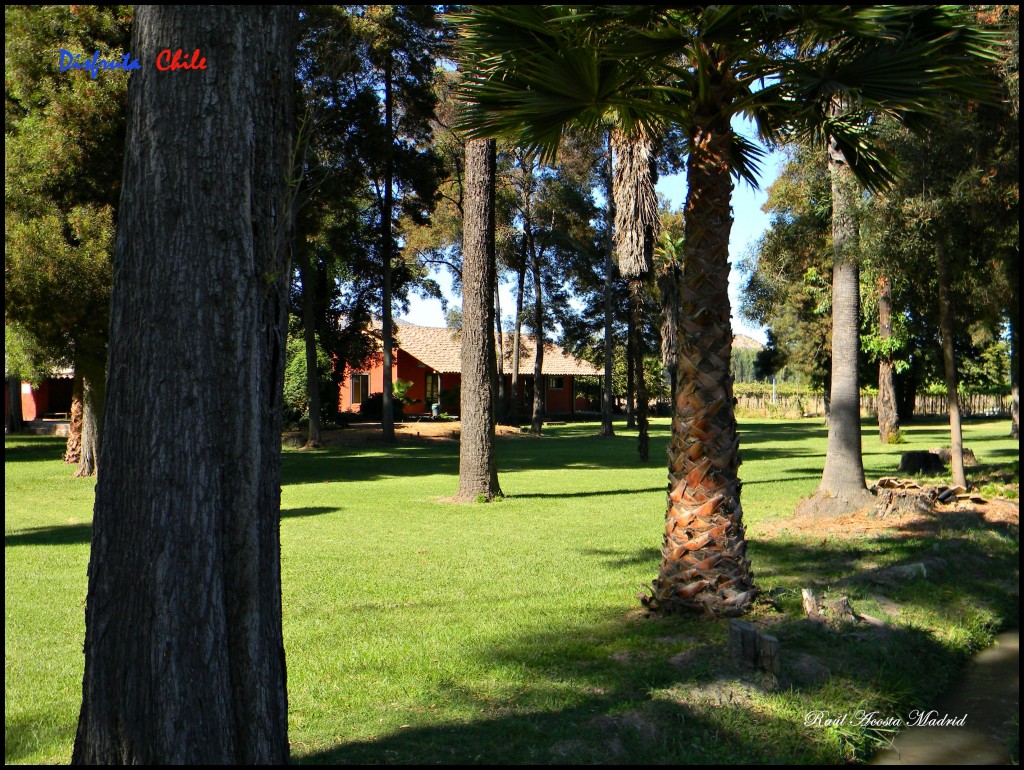 Foto de Copequén (Libertador General Bernardo OʼHiggins), Chile