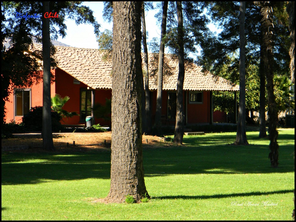 Foto de Copequén (Libertador General Bernardo OʼHiggins), Chile