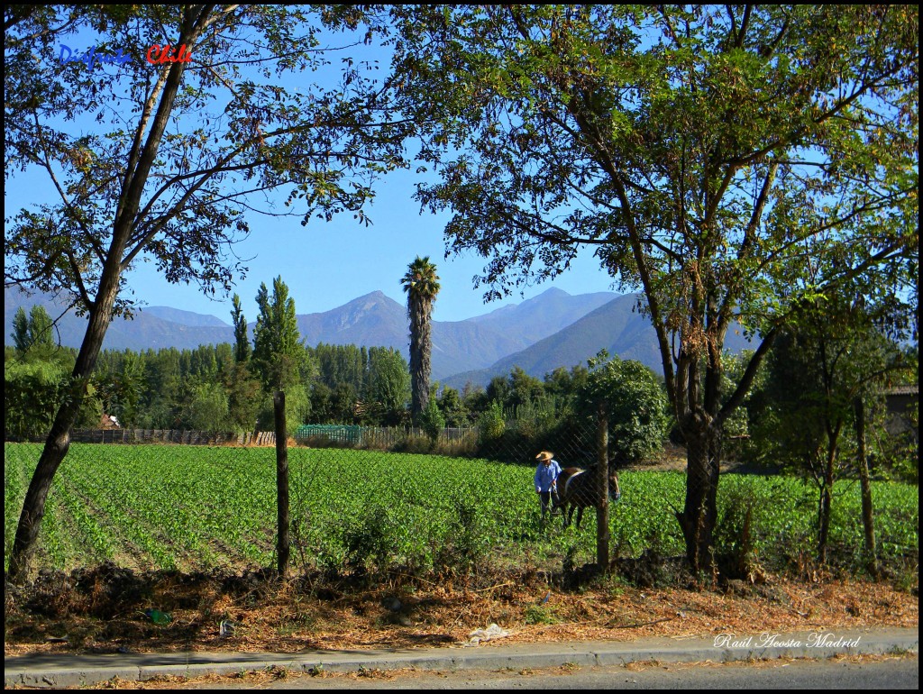 Foto de Copequén (Libertador General Bernardo OʼHiggins), Chile