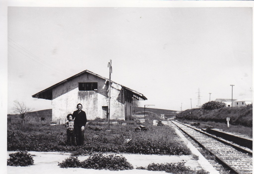 Foto de Jerez de la Frontera (Cádiz), España