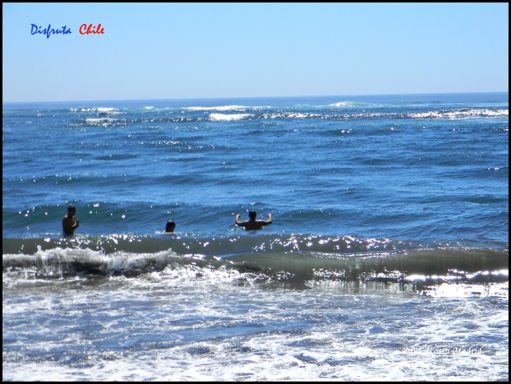 Foto de Pichilemu (Libertador General Bernardo OʼHiggins), Chile