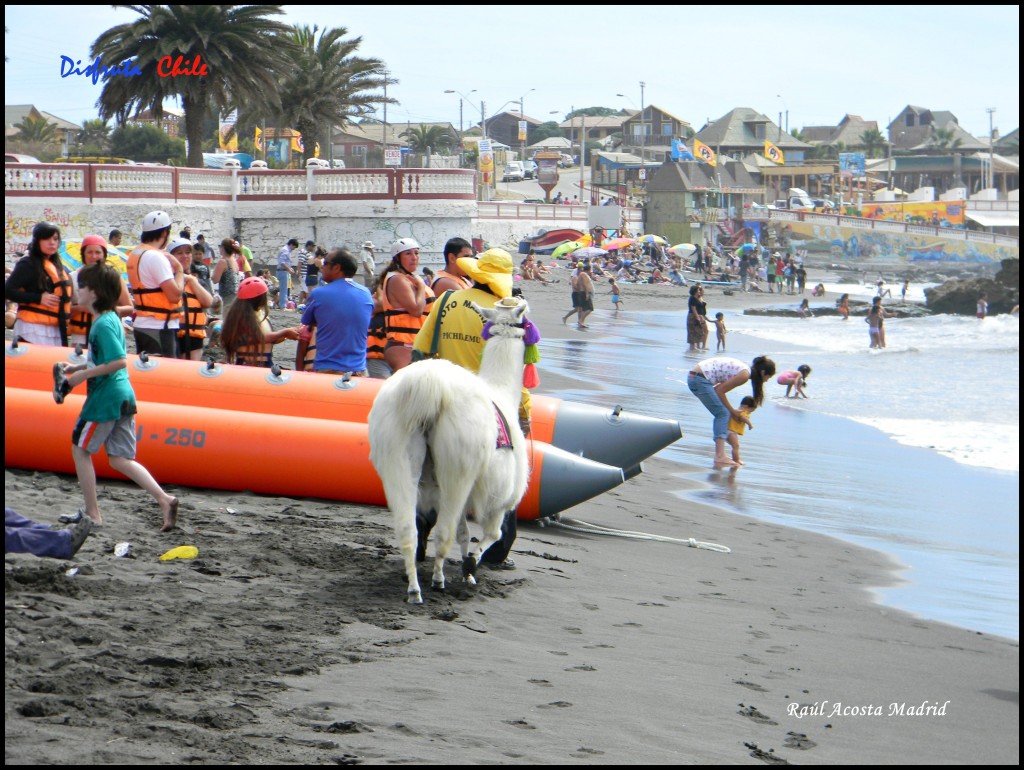 Foto de Pichilemu (Libertador General Bernardo OʼHiggins), Chile